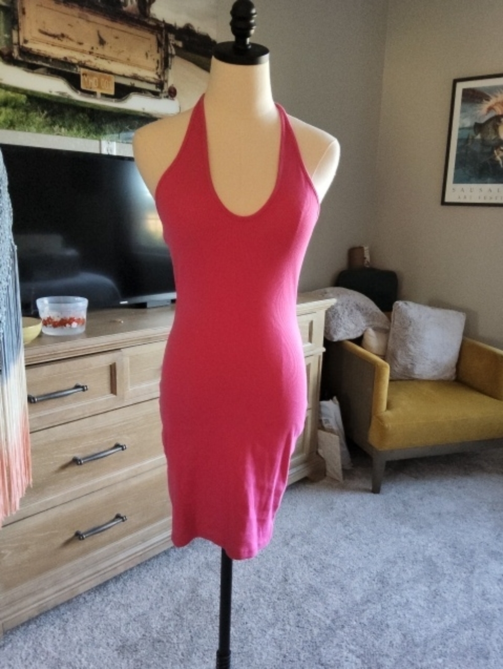 wild fable Hot Pink Halter Bodycon Mini Dress